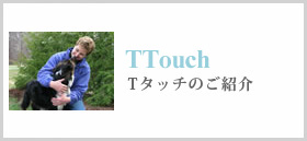 T-Touch