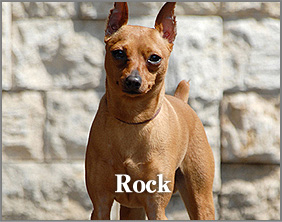 rock